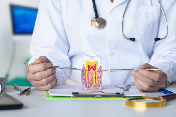 Best Orthodontic Emergency Dentist in Wingate, NC